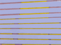 Homer Simpson Reaction GIF by MOODMAN