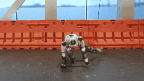 Obefiend giphygifmaker GIF