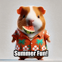 Guinea Pig Summer GIF by Guinea Gambino