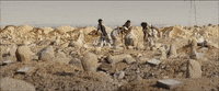 Germany Finland GIF by TIFF