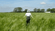 Sub Pop Sun GIF by Sub Pop Records