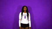 Clemsonvb Championshipbehavior GIF by Clemson Tigers