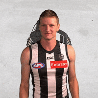 collingwoodfc pies collingwood magpies collingwoodfc GIF