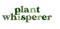 Stars Plant Lady Sticker