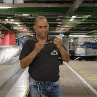 Looking Royal Dutch Airlines GIF by KLM