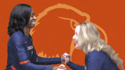 C-N Volleyball GIF by Carson-Newman Athletics