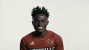 Celebrate University Of Louisville GIF by Louisville Cardinals