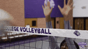 College Life Women GIF by Columbia College