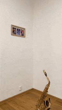 Rhodesian Ridgeback Singer GIF by #nikaachris