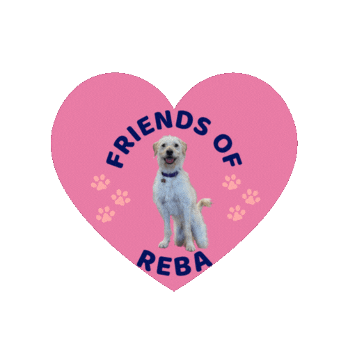 MelCarrElectric giphyupload melcarrelectric neighborhoodelectrician friendsofreba Sticker