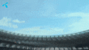 cricket cwc19 GIF by Telenor Pakistan