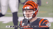 Nfl Playoffs Football GIF by NFL