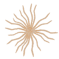 blue planet water Sticker by OceanX