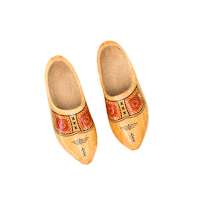 Shoes Fries Sticker by Omrop Fryslân