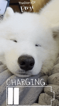 Tired Sleep GIF