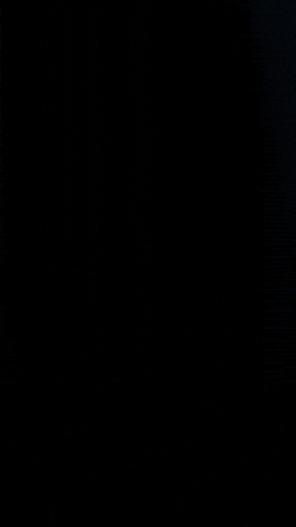 Lets Play GIF by figopet