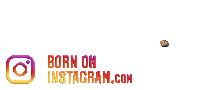 Parilifestyleboi2021 Sticker by BORN ON INSTAGRAM