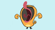 Angry Bird GIF by ZIP ZIP