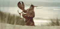 tragedy's a'comin' GIF by Primus