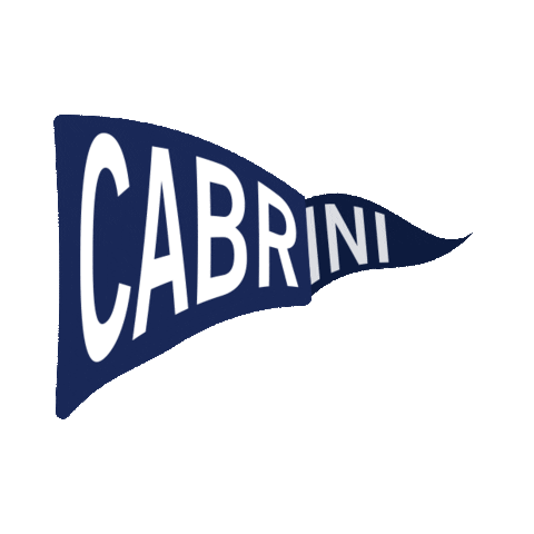 Wave Flag Sticker by Cabrini University