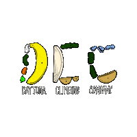 Rockclimbing Daytonabeach Sticker by Daytona Climbing Company