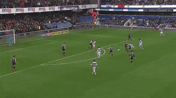 loftus road GIF by QPR FC
