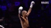 excited celebration GIF by GLORY Kickboxing