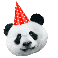 Party Love Sticker by Panda