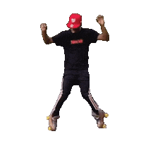 RiedellSkates goals skater rollerskate roller skate Sticker