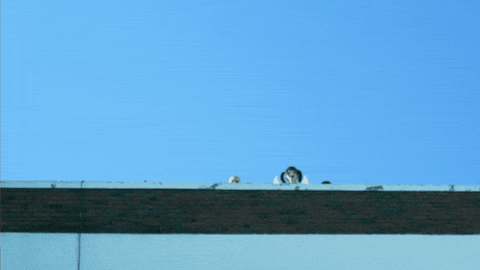 Eye Angel GIF by ARTMS