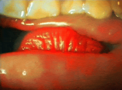 kiss sexy point cheezburger different GIF
