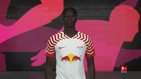 Rb Leipzig Football GIF by Bundesliga