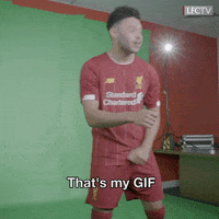 premier league football GIF by Liverpool FC
