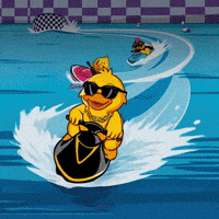 duckracegp crypto racing race duck GIF