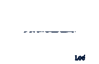 Lee_Jeans_Asia graffiti lee lee jeans lee logo Sticker