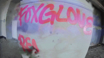 Street Art Graffiti GIF by Hurray For The Riff Raff