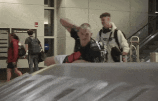 Sexy Mixed Martial Arts GIF by UFC