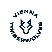 Sport Basketball Sticker by Vienna Timberwolves