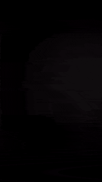 Merry Christmas GIF by Bernardson