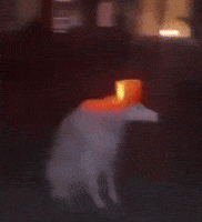 Alerting Red Light GIF