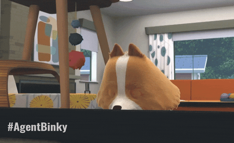 High Energy Cat GIF by Treehouse Direct