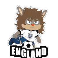 World Cup Football Sticker