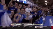 volleyball byu GIF by NCAA Championships