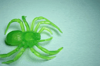 Stop Motion Animation GIF by erma fiend