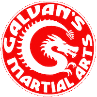 Galvansmartialarts Sticker by Team GMA