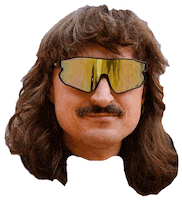 Head Martin Sticker by Schleudergang