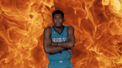 basketball nba GIF by Charlotte Hornets
