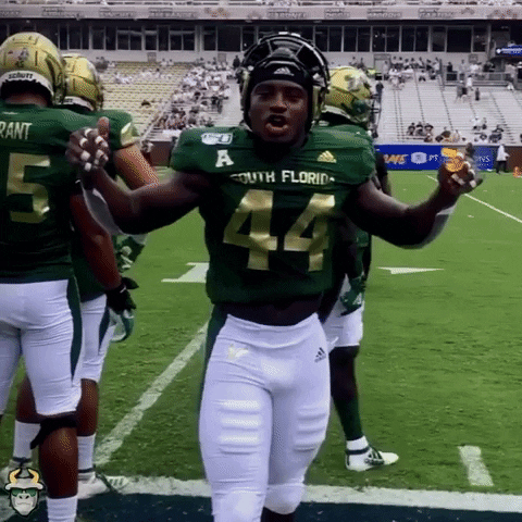 Usf Football GIF by SoFloBulls