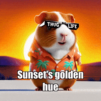 Beauty Sunset GIF by Guinea Gambino