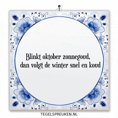 Winter Nl GIF by Tegelspreuken.nl